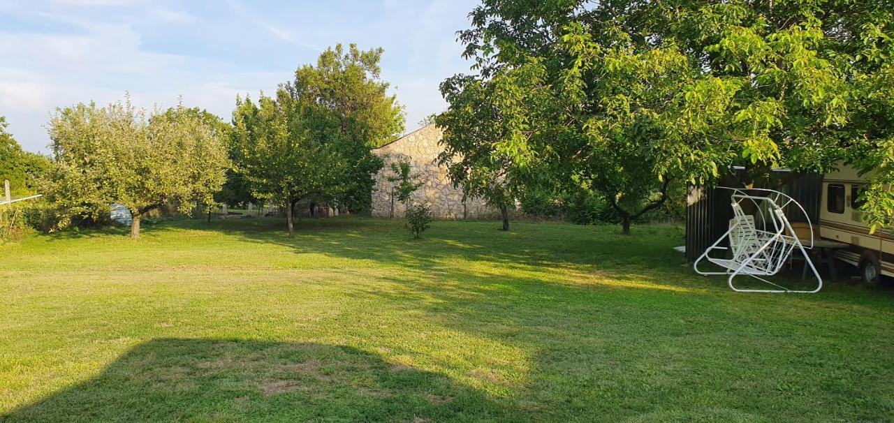Dalia Apartmanok Csopak Dış mekan fotoğraf